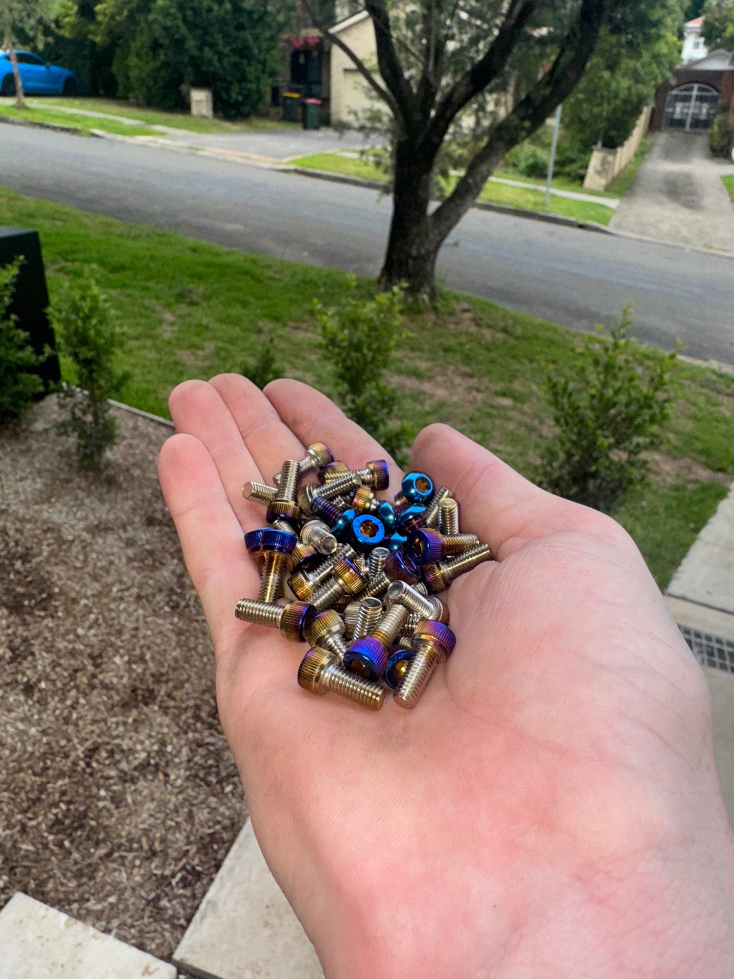 Individual Titanium Bolts